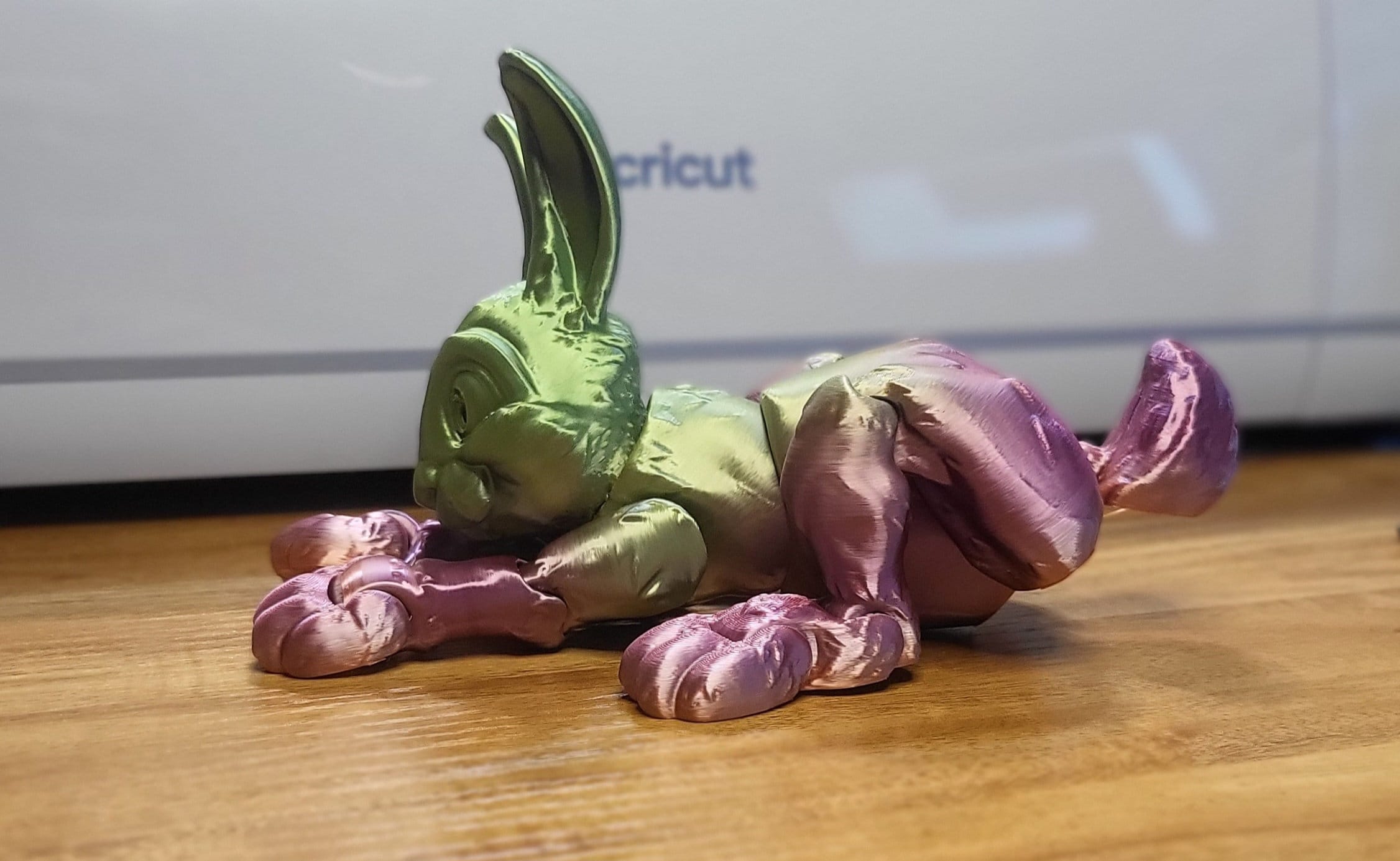 Bunny Rabbit 3D Print - Etsy