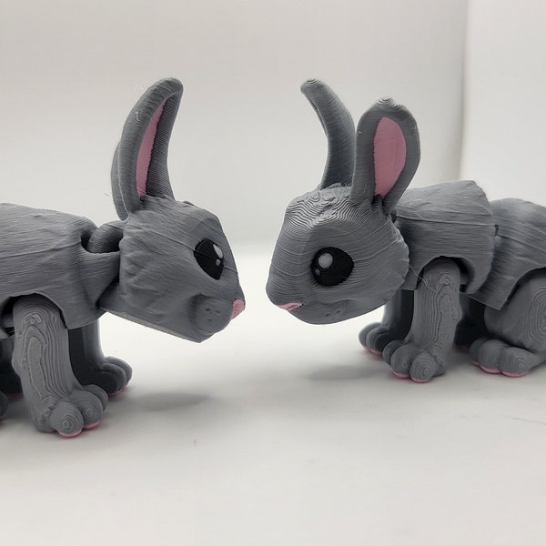 Mini Bunny Articulated 3D Print