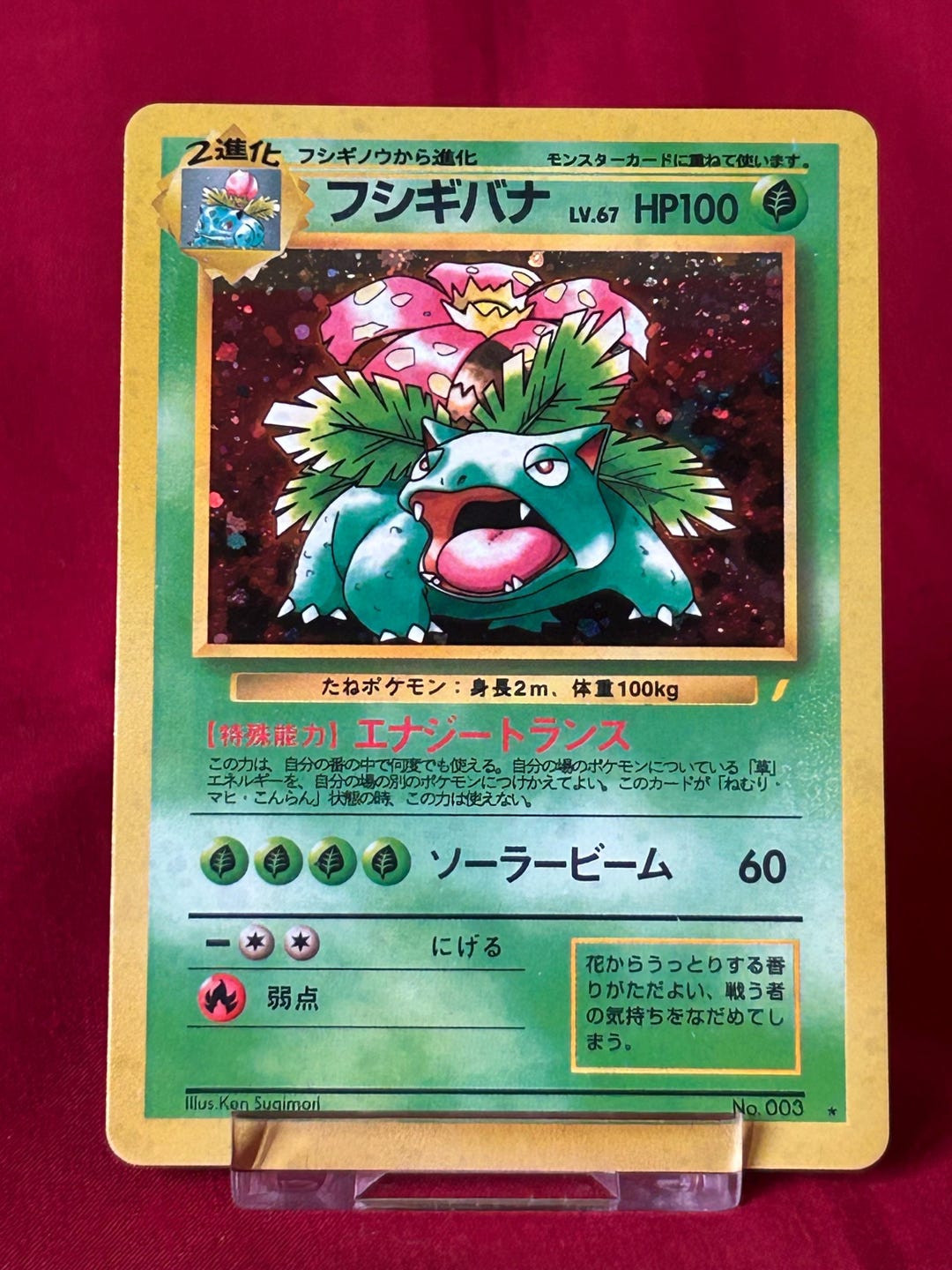 venusaur holographic pokemon card Another EXTREMELY rare error. The Incomplete Holo Base Set by population report is rarer than the Charizard. Though not as rare as the Blastoise, Venusaur has a population of just 1 Unlimited Edition version of this card. Venusaur Holo #003/034 GGC 10