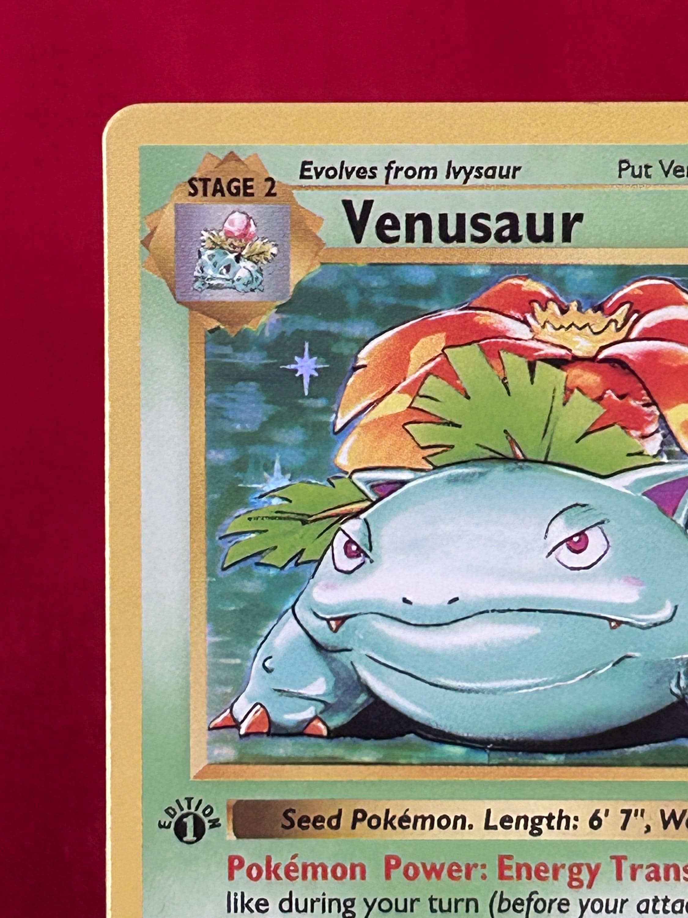 venusaur first edition card value Star Holo 1st Edition Venusaur Pokemon Card Base Set Shadowless Holographic  Card 15/102 Proxy Card Immaculate Mint Quality