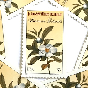 10 Vintage Unused John and William Bartram: American Botanists Mail Stamps / Botanical Camellia Flower USPS Postage / 33 cents US