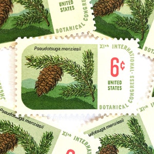10 Vintage Unused Douglas Fir Pinecone Stamps / Botanical Congress Pseudotsuga menziesii USPS Postage / 6 cents US