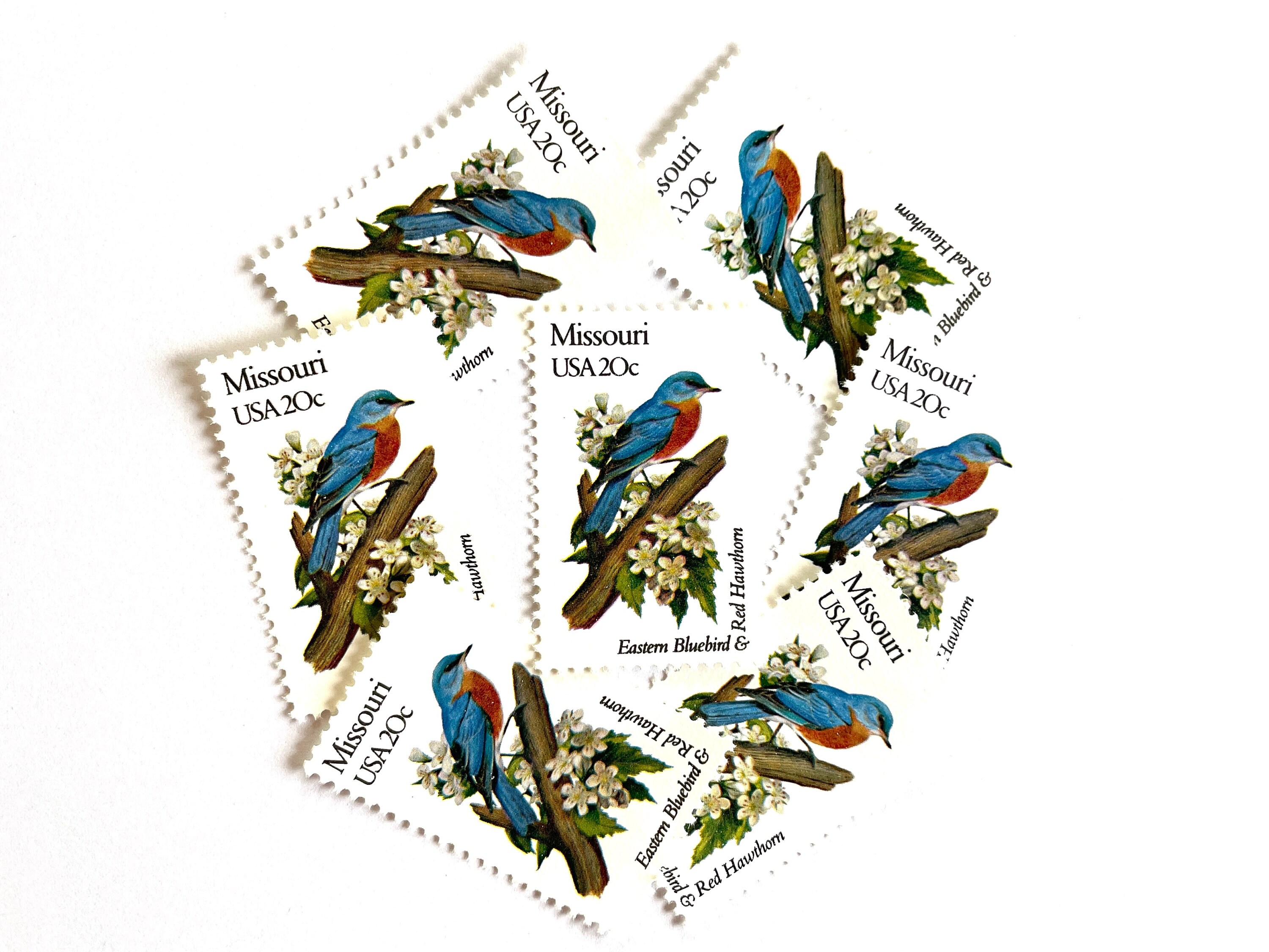 10 Vintage Unused Missouri State Bird and Flower Mail Stamps / Eastern ...