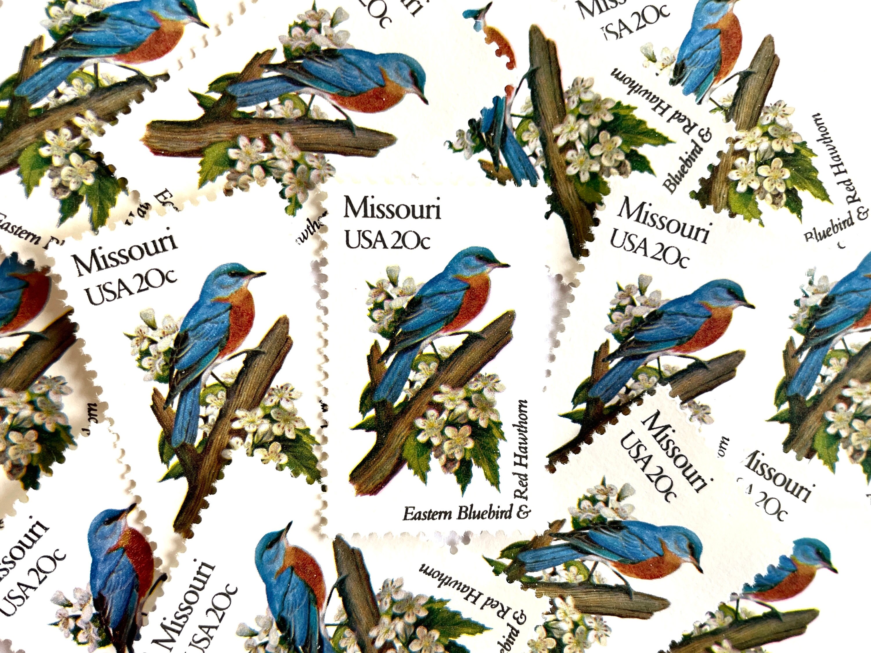 10 Vintage Unused Missouri State Bird and Flower Mail Stamps / Eastern ...