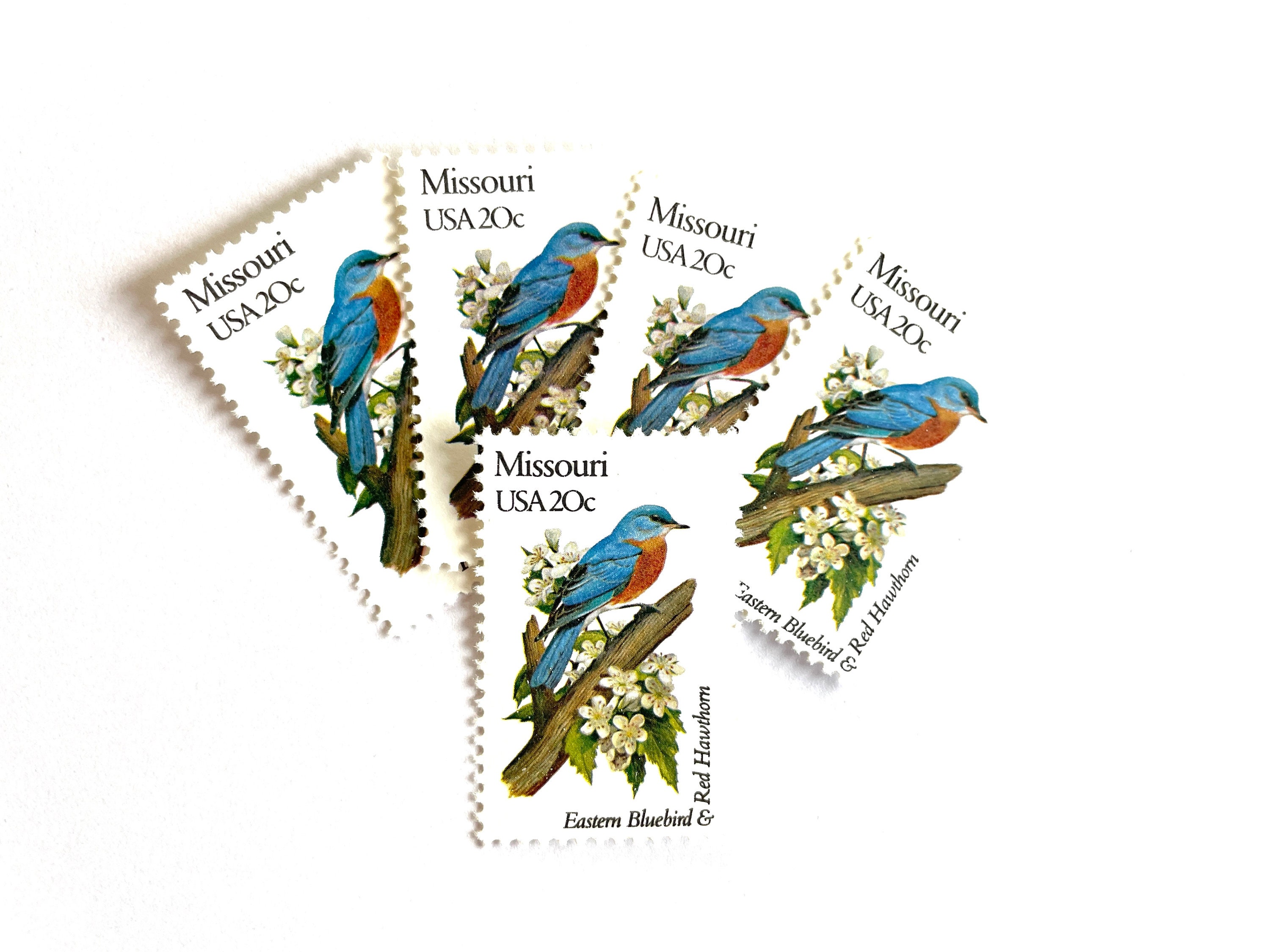 10 Vintage Unused Missouri State Bird and Flower Mail Stamps / Eastern ...
