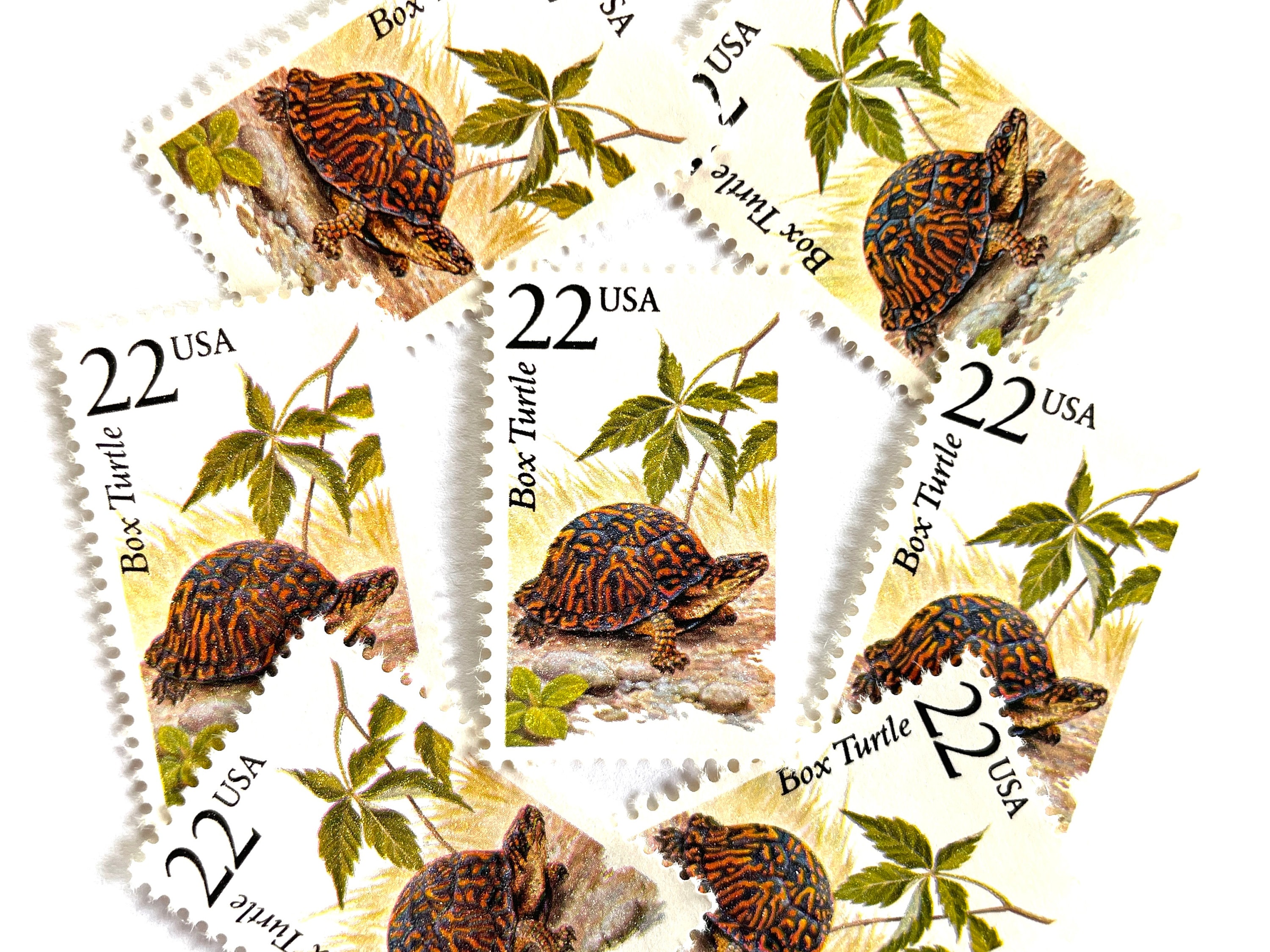 Turtle Mail 10 Vintage Unused Box Turtle Mail Stamps / North American Wildlife USPS ...