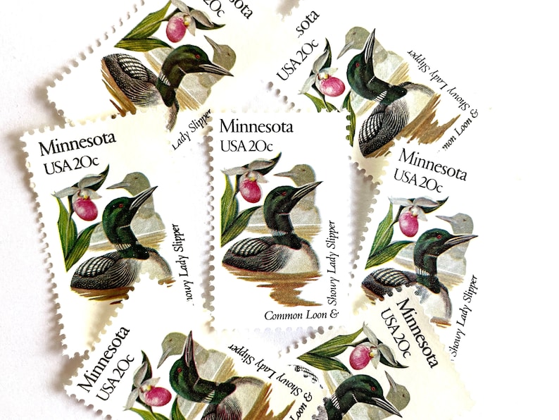 May include: A collection of six vintage Minnesota postage stamps featuring a common loon and a showy lady slipper flower. Each stamp is white with a green border and reads "Minnesota USA 20c".