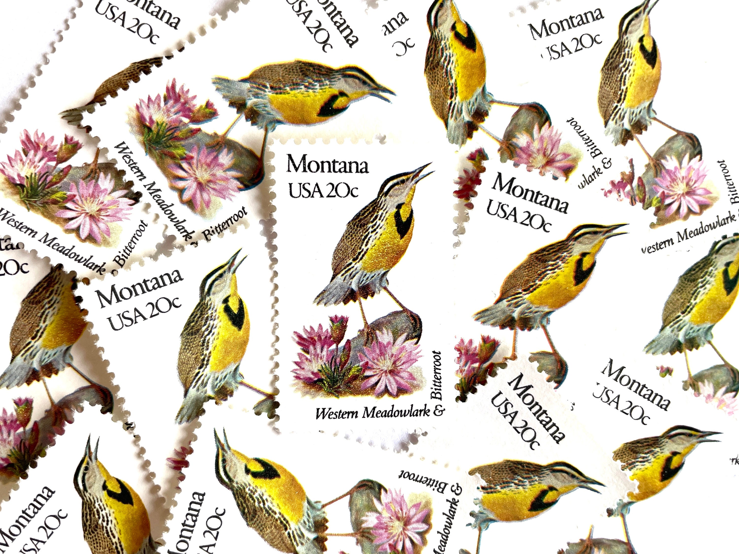 10 Vintage Unused Montana State Bird and Flower Mail Stamps / - Etsy