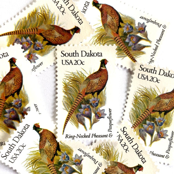 10 Vintage Unused South Dakota State Bird and Flower Mail Stamps / Ring-Necked Pheasant & Pasqueflower USPS Postage / 20 cents US