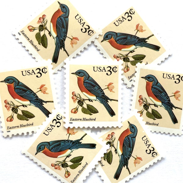 Eastern Bluebirds Etsy