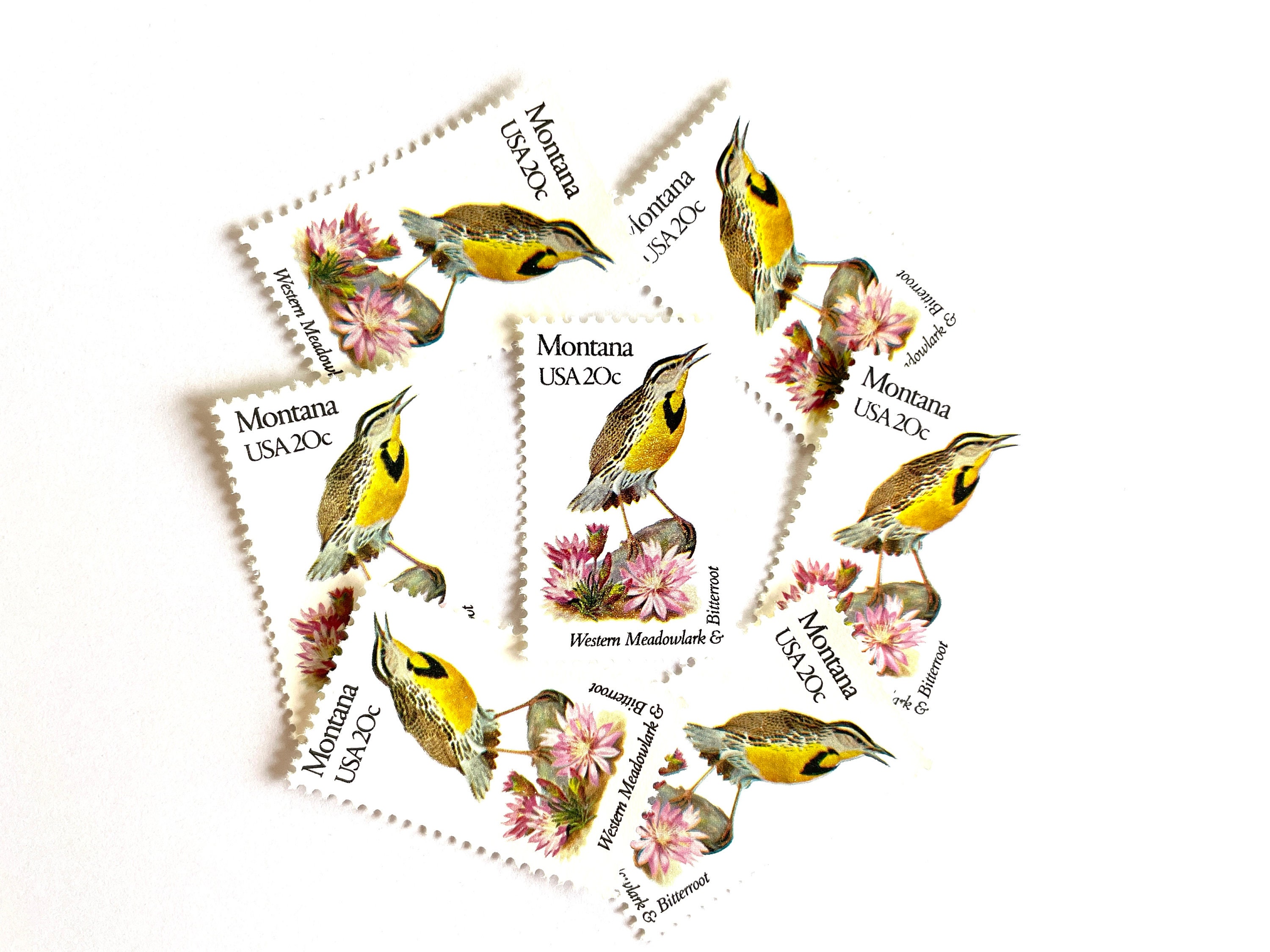 10 Vintage Unused Montana State Bird and Flower Mail Stamps / Western ...