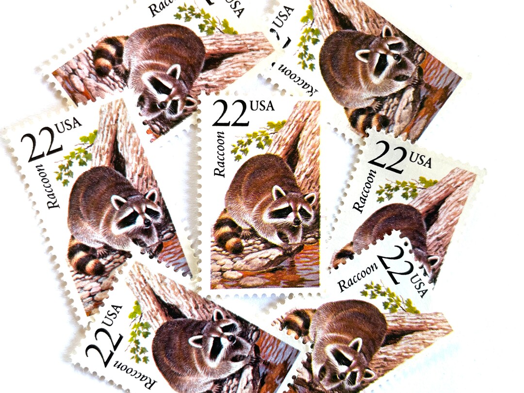 10 Vintage Unused Raccoon Mail Stamps / North American Wildlife USPS ...