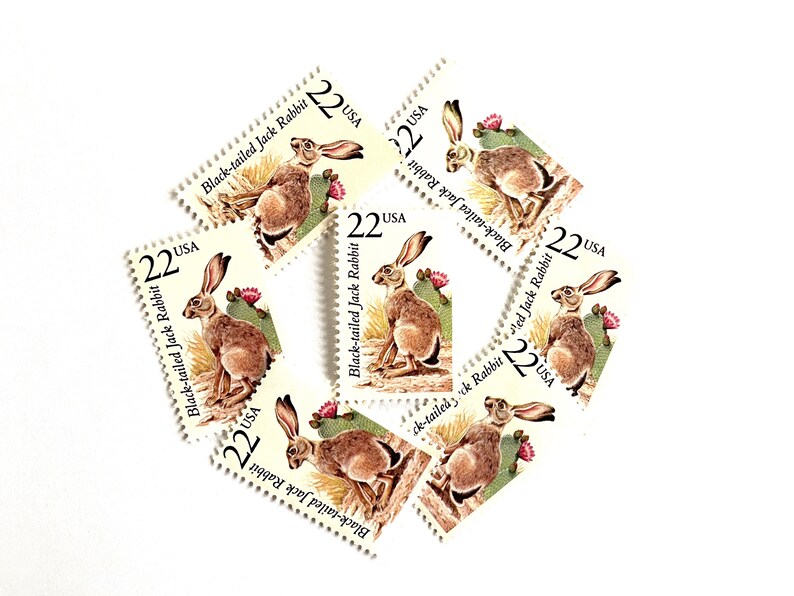 10 Vintage Unused Black-tailed Jack Rabbit Mail Stamps / North American ...