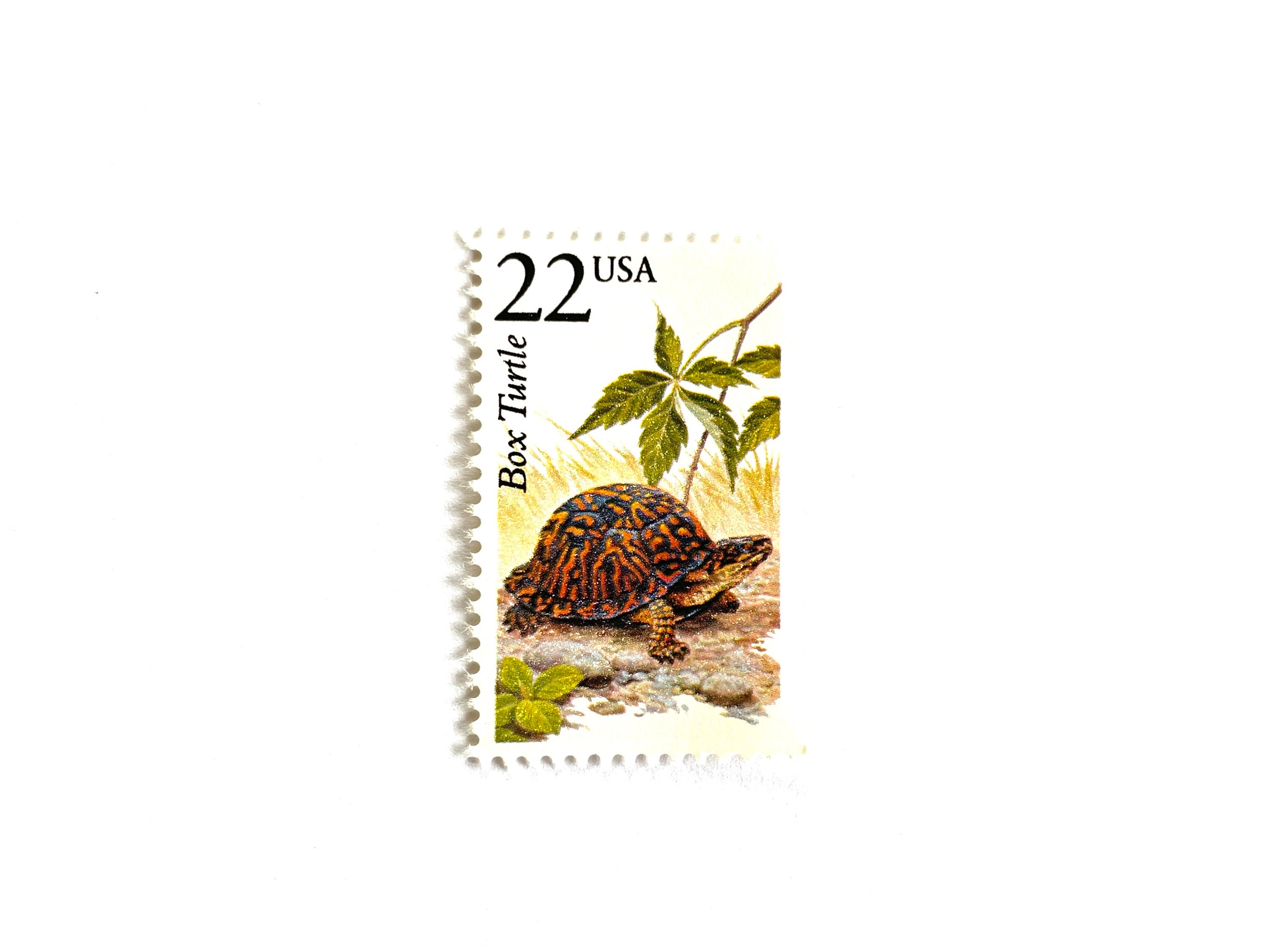 Turtle Mail 10 Vintage Unused Box Turtle Mail Stamps / North American Wildlife USPS ...