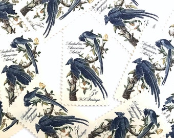 US Postage Stamp PHOTO MAGNET Audubon American Artist Blue Jays 1963 5 cents 