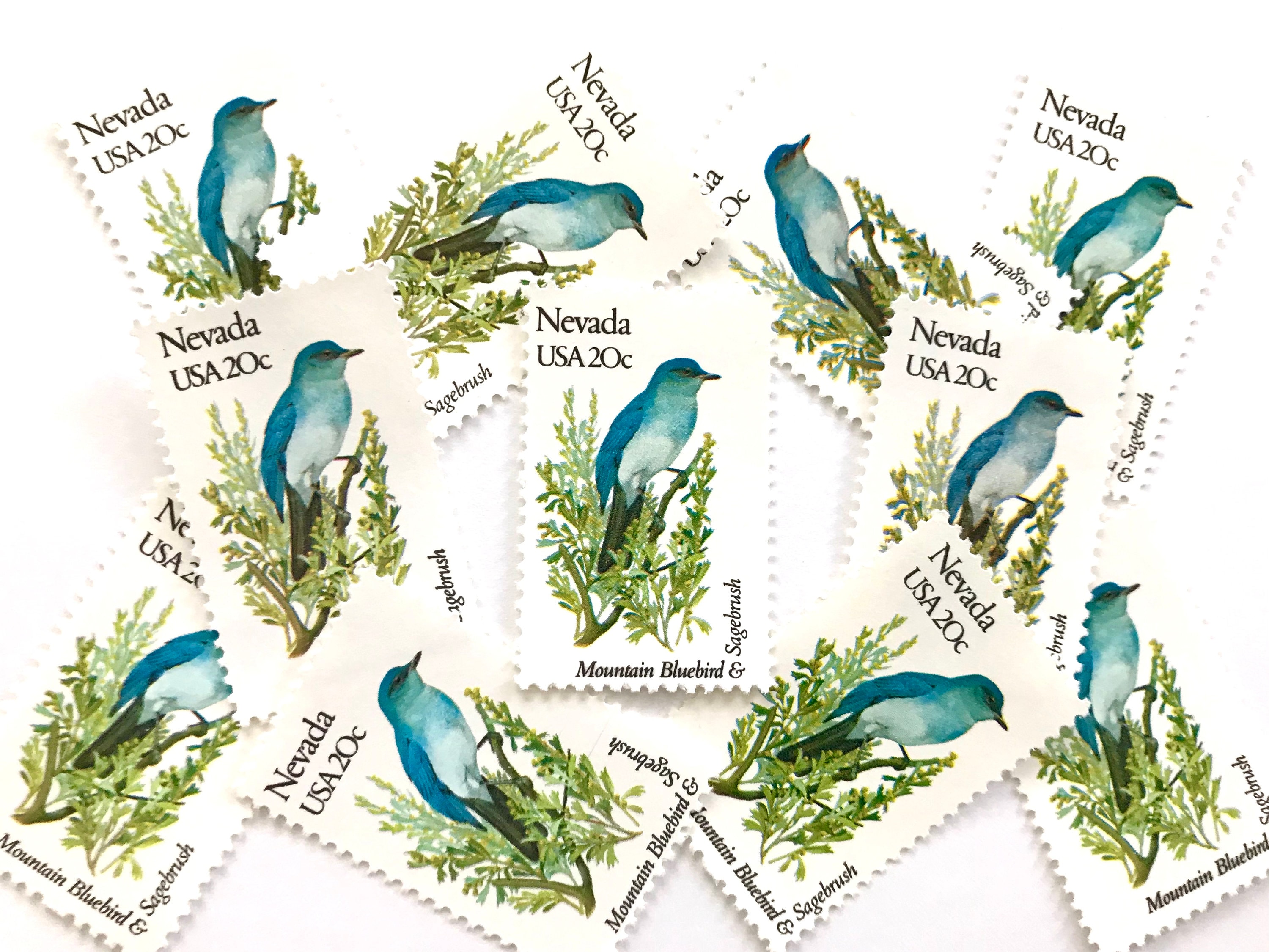 10 Vintage Unused Nevada State Bird and Flower Mail Stamps / Mountain ...
