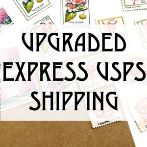 UPGRADED USPS EXPRESS Shipping