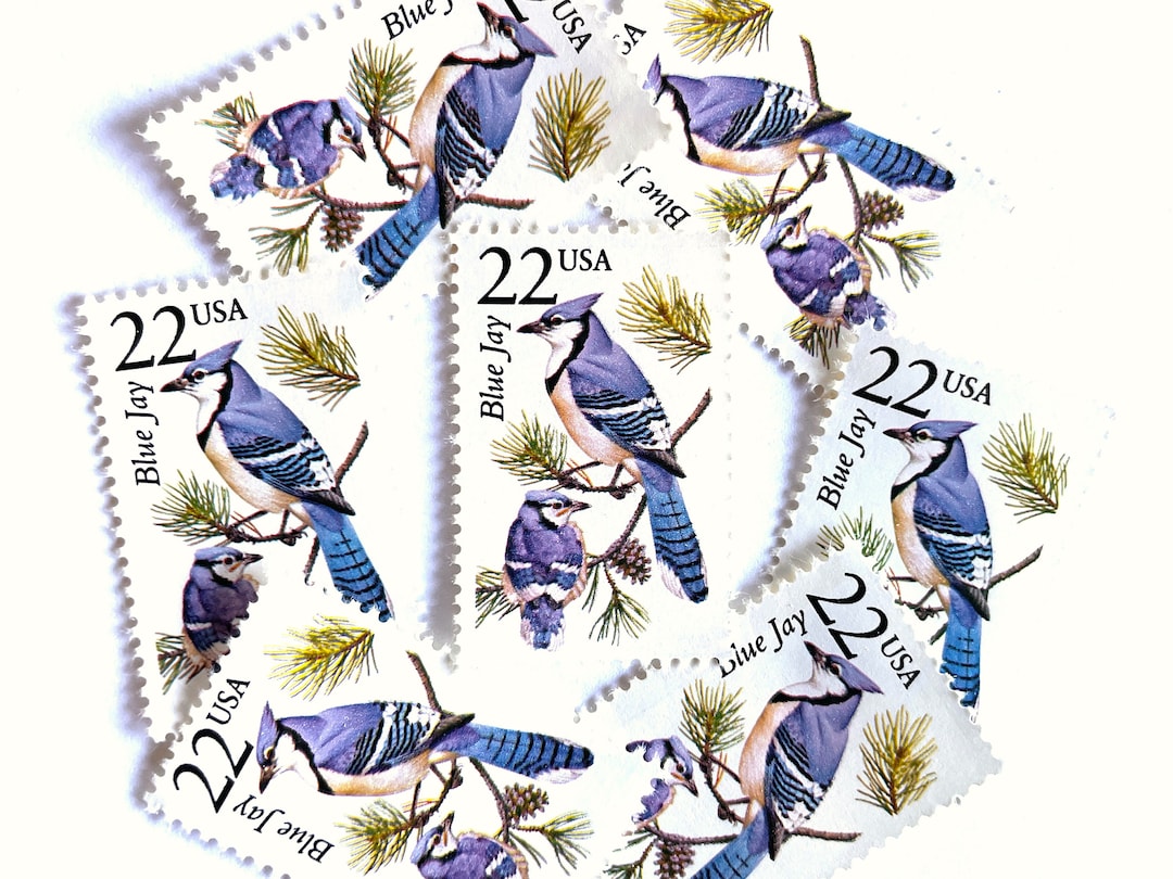 10 Vintage Unused Blue Jay Mail Stamps / North American Etsy