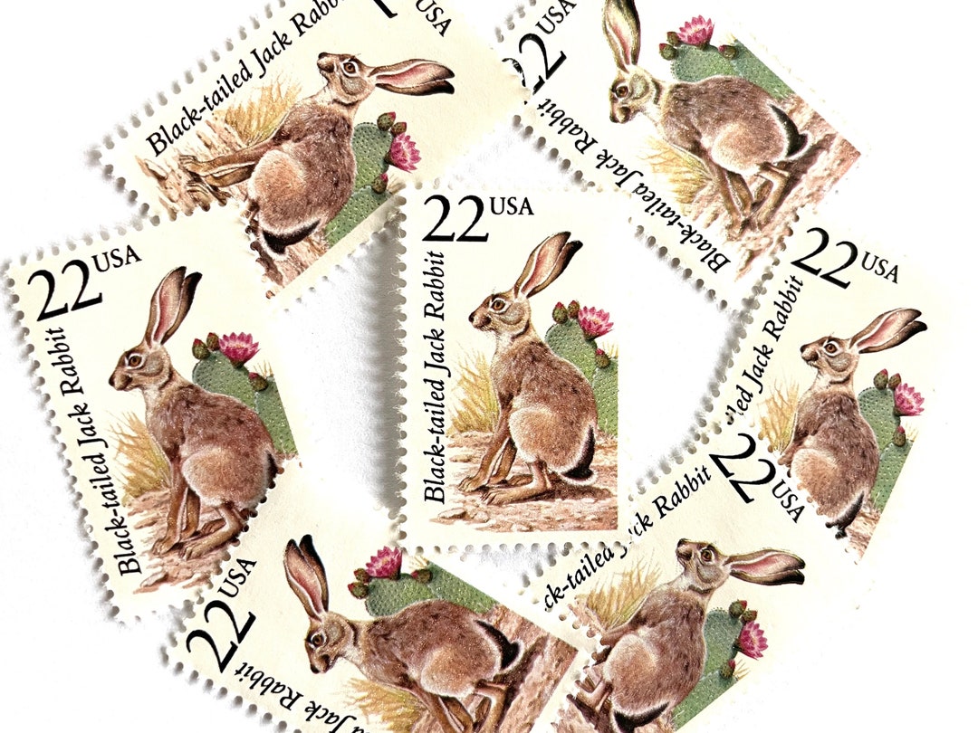Joj Rabbit Stamps 10 Vintage Unused Black-tailed Jack Rabbit Mail Stamps / North American ...