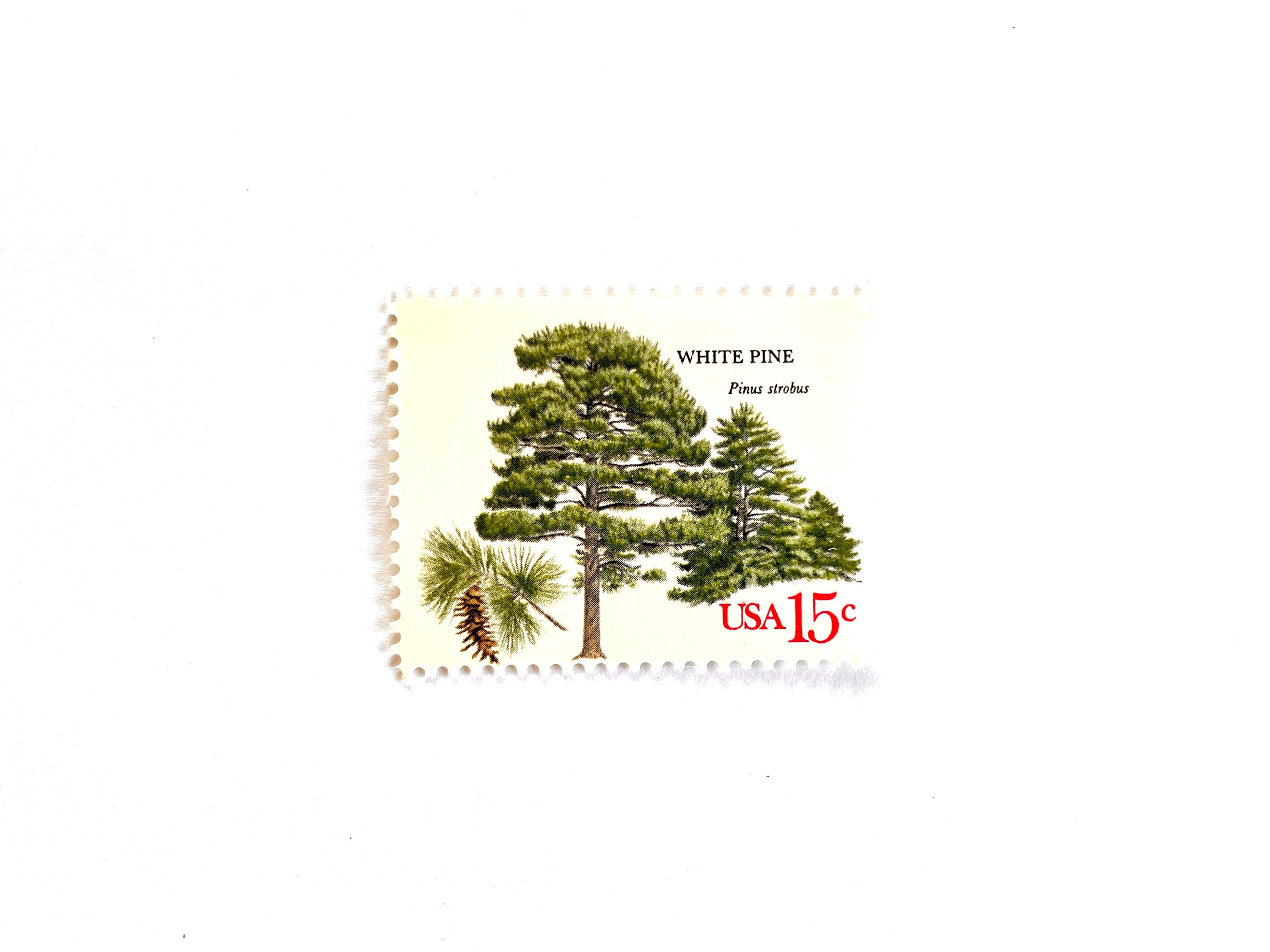 10 Vintage Unused White Pine Mail Stamps / American Trees USPS Postage ...