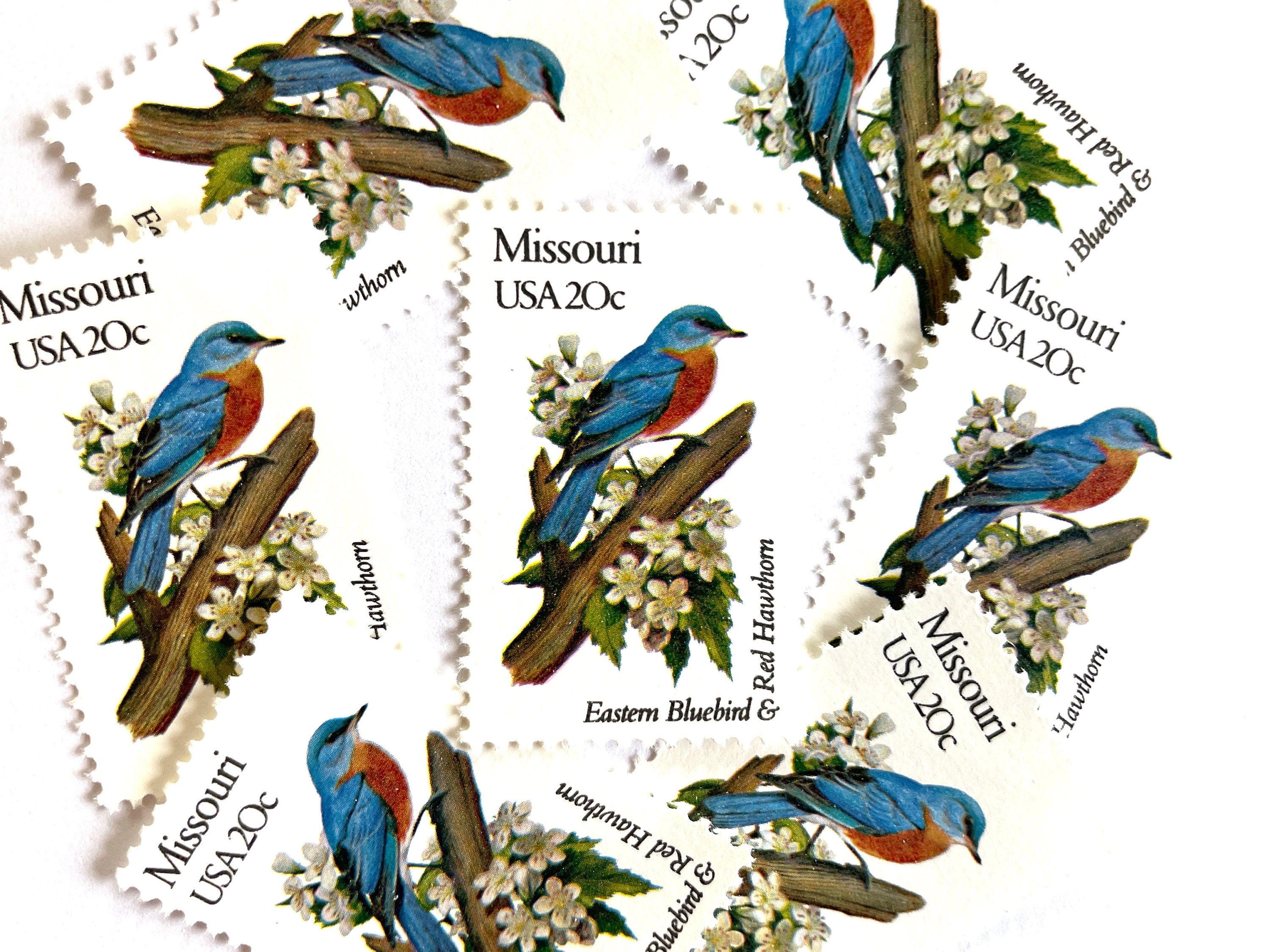 10 Vintage Unused Missouri State Bird and Flower Mail Stamps / Eastern ...