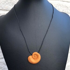 May include: A black cord necklace with a brown seashell pendant. The seashell has a spiral pattern.