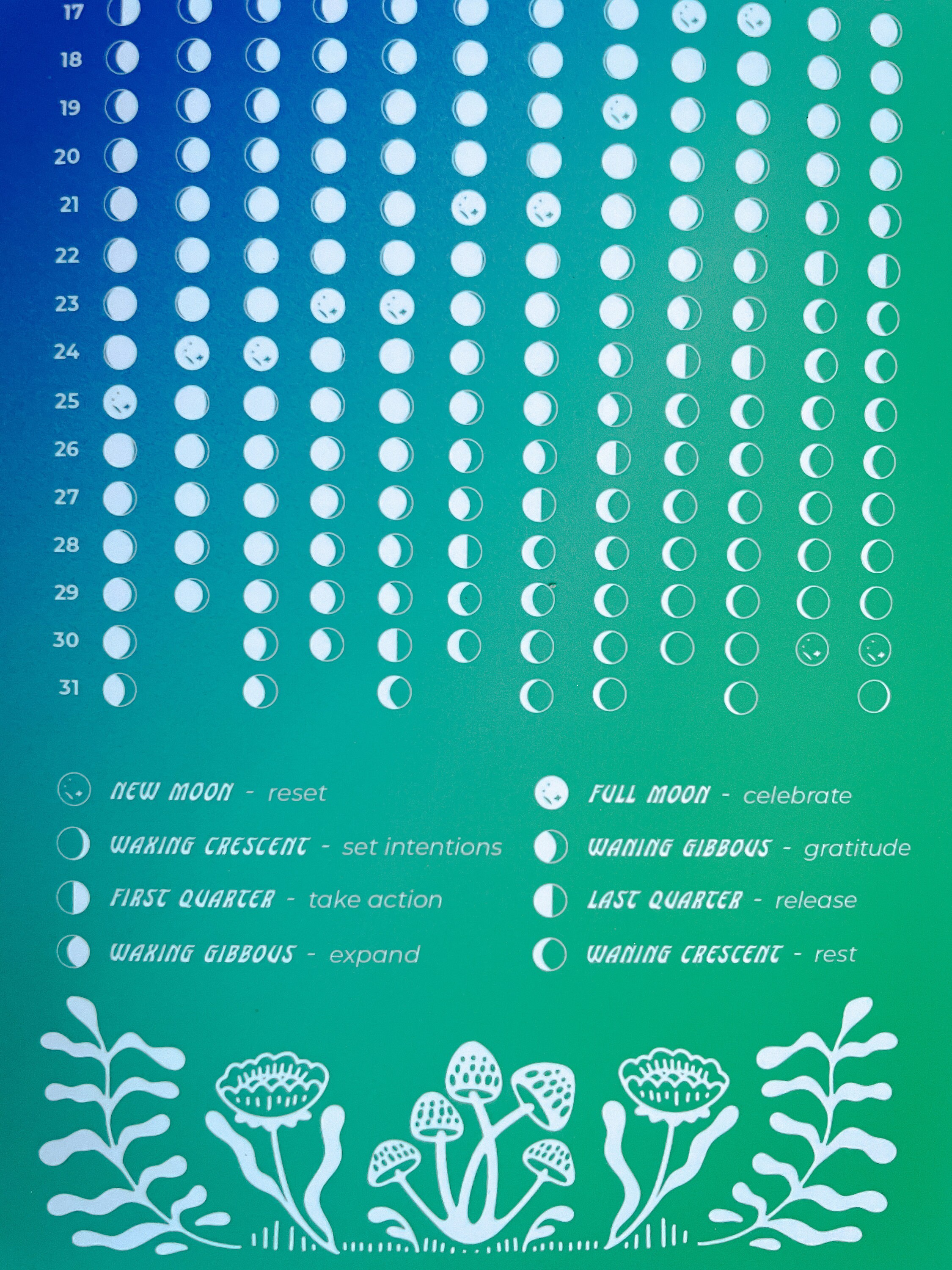 2024 Lunar Calendar 2024 Moon Calendar Flowers Mushrooms and Stars