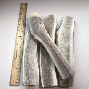 May include: Four natural antler dog chews, each about 7 inches long, with a light brown and white color. The antlers are stacked on top of each other, with the ruler in the background.