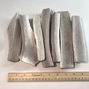 May include: A group of eight natural antler dog chews, ranging in size from 4 to 7 inches long. The chews are light brown with a white, grainy texture. A ruler is included for size reference.