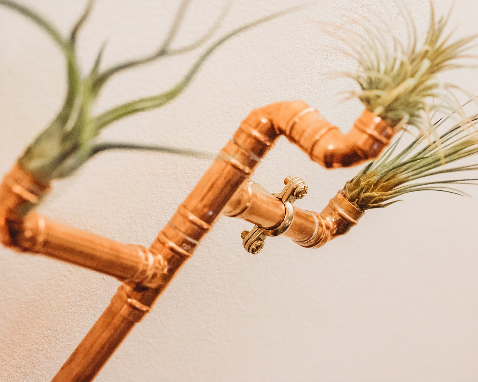 Copper Pipes & Air Plant Wall Art Etsy