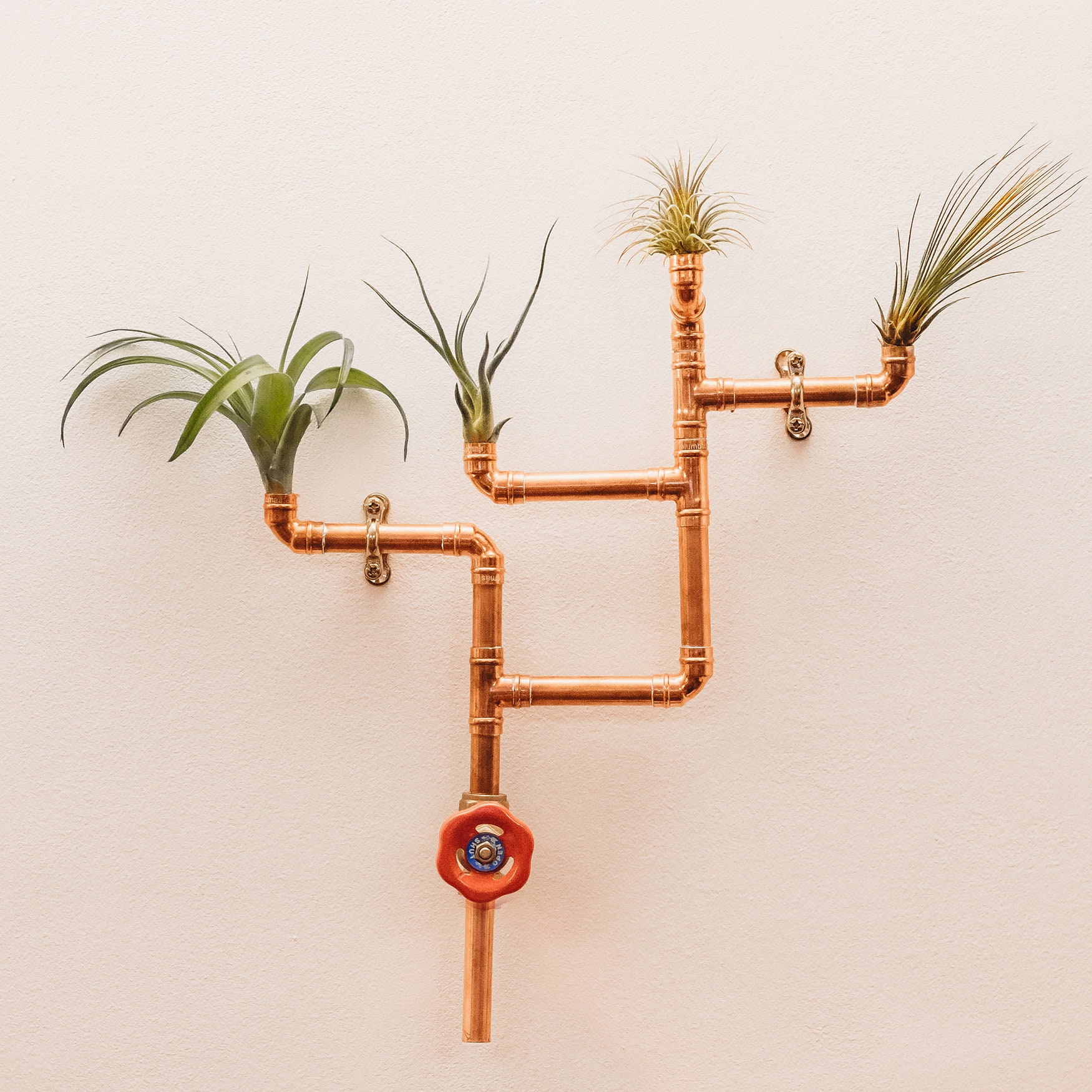 Copper Pipes & Air Plant Wall Art Etsy