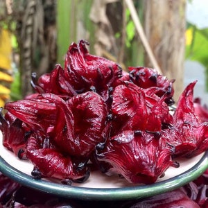 Glazed Hibiscus Flowers Roselle image 1