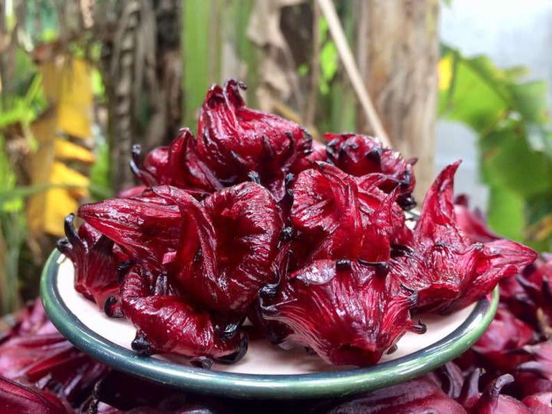 Glazed Hibiscus Flowers Roselle image 1