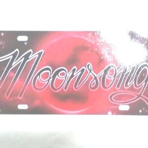 Airbrush Name Plate, Custom License Plate, Name Tag, Airbrush Tag, Custom Tag, Vanity Plate, Custom Airbrush Tag, Airbrush License Plate