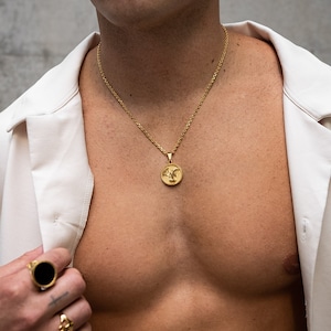 Fallen Angel Medallion Pendant Necklace, 18k Gold Plated, 316L Stainless Steel