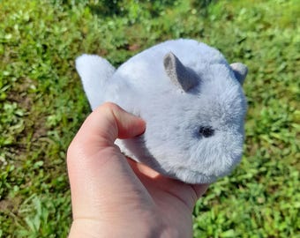 plush chinchilla