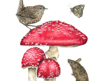 Autumn Mushroom Print by Wildlife Artist Sophie Nash - Mounted Giclée Print of Fly Agaric Toadstools, a Wren, a Wood Mouse and Butterflies