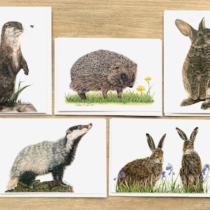 Lot de cinq cartes de vœux British Mammals par l'artiste animalière Sophie Nash – cartes d'anniversaire lièvre, lapin, blaireau, loutre et hérisson.