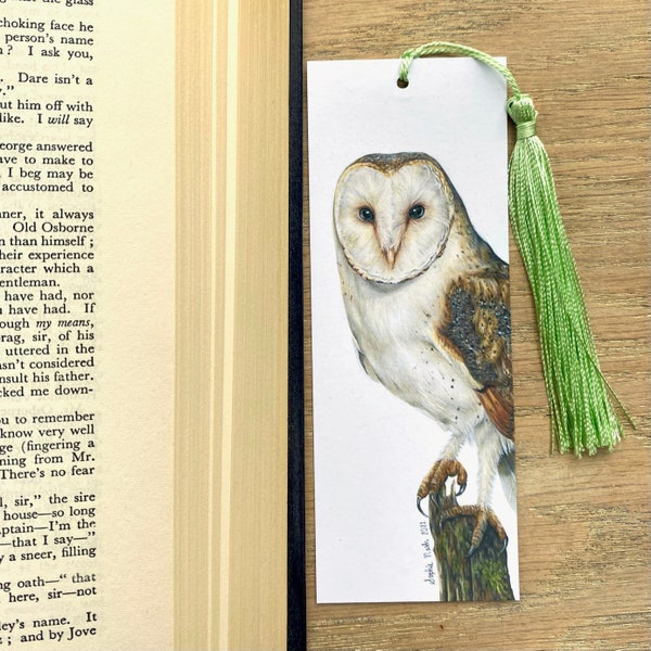 Barn Owl Bookmark with Tassel by Wildlife Artist Sophie Nash - Bookworm - Book Lover Gift - Owl Gift