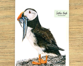 Puffin Greeting Card by Wildlife Artist Sophie Nash - Puffin Birthday Card - Bird Card