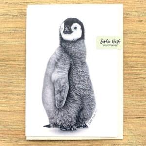 Emperor Penguin Chick Greeting Card by British Wildlife Artist Sophie Nash - Birthday Card