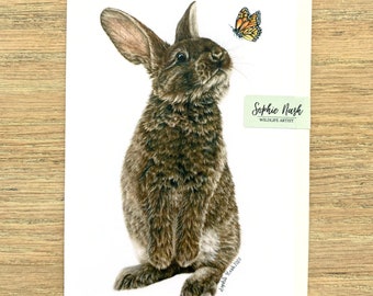 Bunny Rabbit Greeting Card by Wildlife Artist Sophie Nash - Card of Bunny and Butterfly - Birthday Card