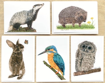 Pack of 5 British Wildlife Greeting Cards by Artist Sophie Nash - Badger Card - Rabbit Card - Owl Card - Hedgehog Card - Kingfisher Card