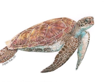 Sea Turtle - Mounted Giclée Print, Signed and Numbered by Young British Wildlife Artist Sophie Nash