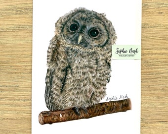 Tawny Owl Chick Greeting Card by British Wildlife Artist Sophie Nash - Owl Card - Birthday Card