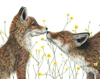 Kissing Foxes Print by British Wildlife Artist Sophie Nash - Mounted Wall Art Giclée Print of Fox cubs and Buttercups