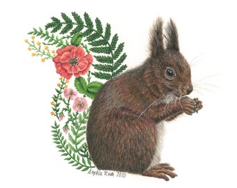 Red Squirrel Print by Wildlife Artist Sophie Nash - Mounted Giclée Print of Squirrel with Floral Tail - Squirrel Wall Art