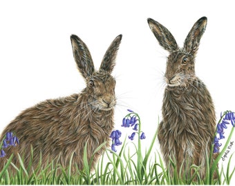 Hare and Bluebells Print by Wildlife Artist Sophie Nash - Mounted Giclée Wall Art