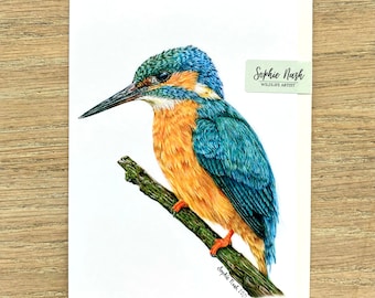 Kingfisher Greeting Card by British Wildlife Artist Sophie Nash - Card of a Kingfisher - Bird Card - Birthday Card