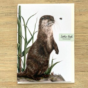 Otter und Biene Geburtstags-/Grußkarte der britischen Wildtierkünstlerin Sophie Nash